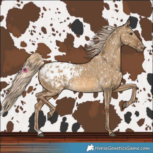 Horse Color:Chocolate Palomino Dun Snowflake Varnish  and Chocolate Palomino Dun Snowflake Varnish 