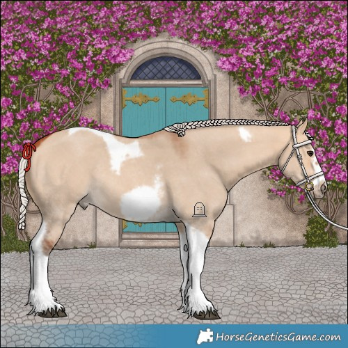 Horse Color:Silver Bay Dun Sabino Tobiano Frame Rabicano 