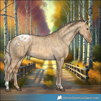 Horse Color:Chocolate Palomino Dun Snowflake Varnish  and Chocolate Palomino Dun Varnish 