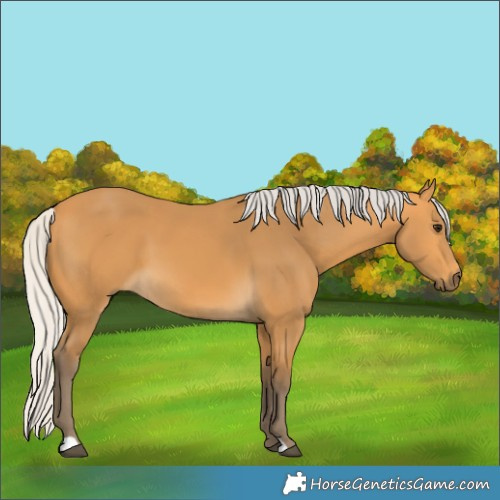 Horse Color:Silver Buckskin