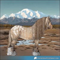 Horse Color:Chocolate Palomino Dun Snowflake Varnish and Buckskin Dun Tobiano Blanket