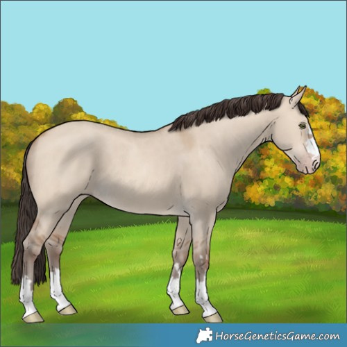 Horse Color:Sable Champagne Dun 