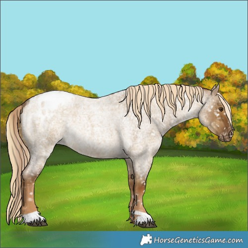 Horse Color:Chocolate Palomino Roan Dun Snowflake Varnish  and Chocolate Palomino Roan Dun Snowflake Varnish Rabicano 