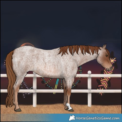 Horse Color:Red Roan 