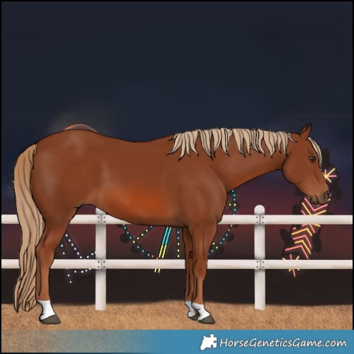Horse Color:Chestnut 