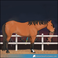 Horse Color:Bay 