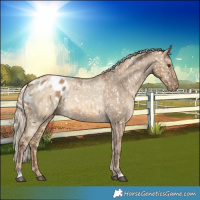 Horse Color:Chocolate Palomino Dun Snowflake Varnish  and Chocolate Palomino Dun Snowflake Varnish 