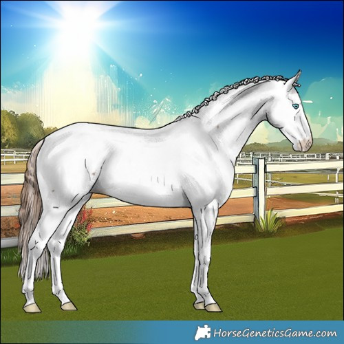 Horse Color:Chestnut Splash Tobiano Fewspot 