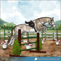 Horse Color:White Spotted Buckskin Dun Snowflake Varnish and White Spotted Buckskin Dun Snowflake Varnish