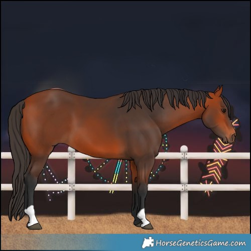 Horse Color:Bay 