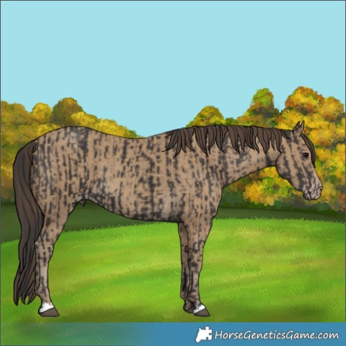Horse Color:Smoky Black  and Classic Cream Champagne 