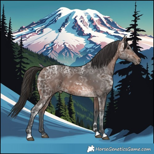 Horse Color:Brown Ice 