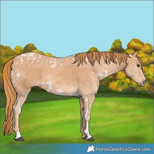 Horse Color:Chestnut Ice 