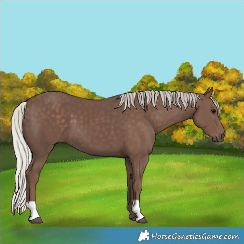 Horse Color:Silver Black 