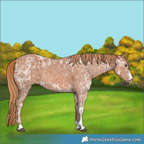 Horse Color:Chestnut Ice 