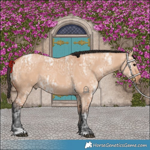 Horse Color:Bay Ice Dun