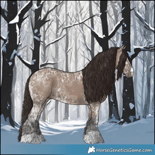 Horse Color:Liver Red Dun Ice 