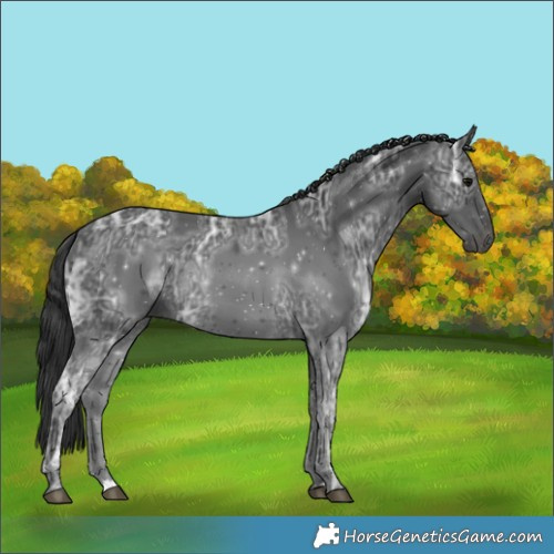 Horse Color:Black Ice 