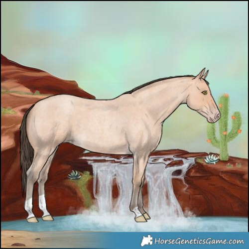 Horse Color:Amber Champagne Roan 