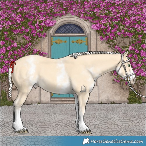Horse Color:White Spotted Gold Cream Champagne 