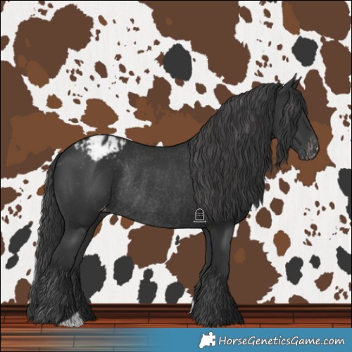 Horse Color:Black Varnish Rabicano 
