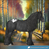 Horse Color:Black Varnish Rabicano