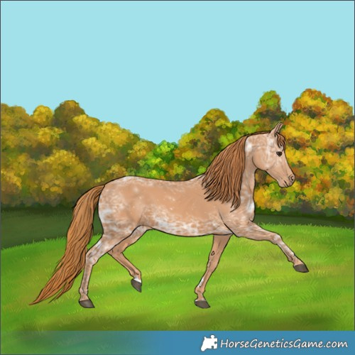 Horse Color:Chestnut Ice 