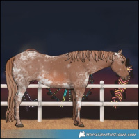 Horse Color:Chestnut Ice