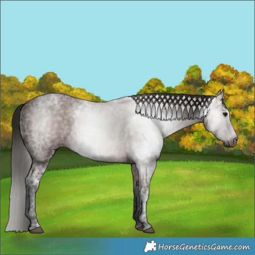 Horse Color:Gray Bay Ice