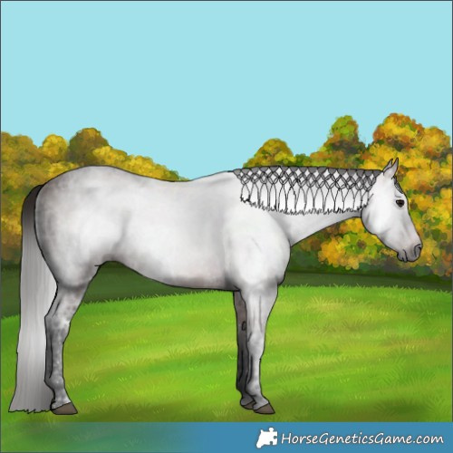 Horse Color:Gray Bay Ice