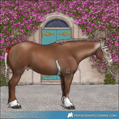 Horse Color:Gray Silver Black Pearl Tobiano