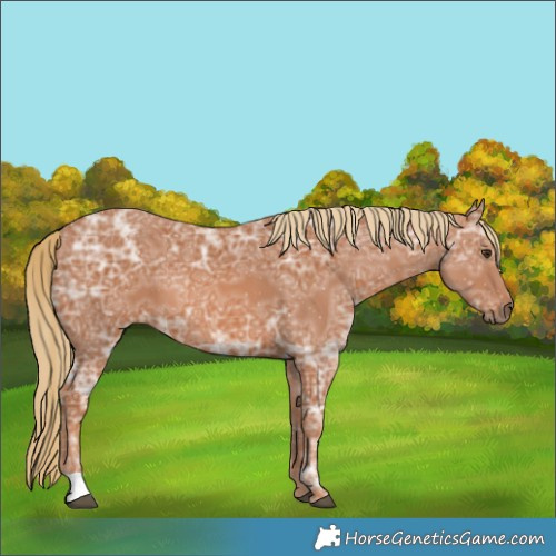 Horse Color:Chestnut Ice 