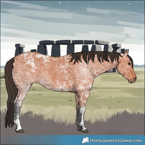 Horse Color:Bay Ice 