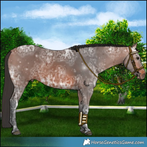 Horse Color:Bay Ice 