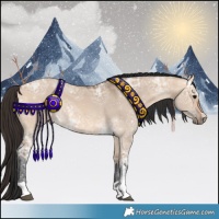 Horse Color:Bay Ice Dun 