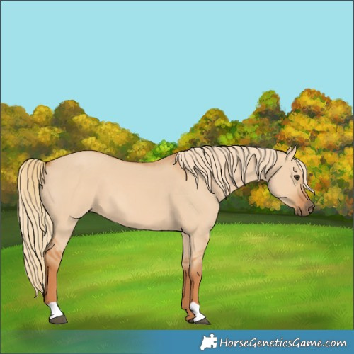Horse Color:Red Dun