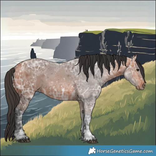 Horse Color:Bay Ice 