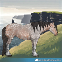 Horse Color:Bay Ice 
