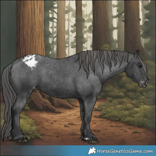 Horse Color:Black Varnish