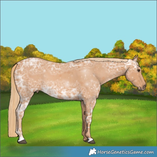 Horse Color:Chestnut Ice 