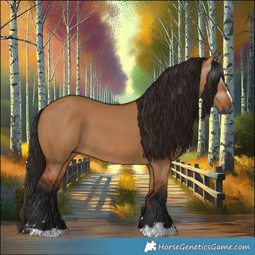 Horse Color:Gray Bay Dun 