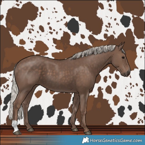 Horse Color:Silver Black