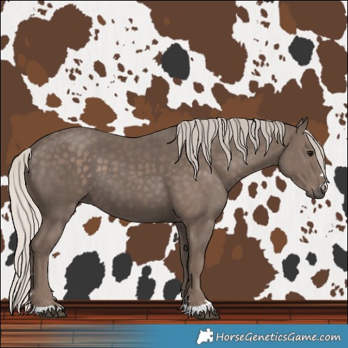 Horse Color:Silver Black