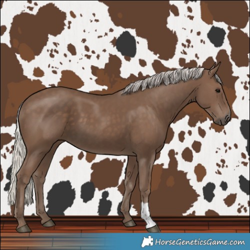 Horse Color:Silver Black 