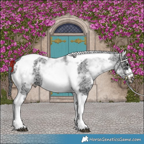 Horse Color:White Spotted Black Splash Tobiano Frame Blanket