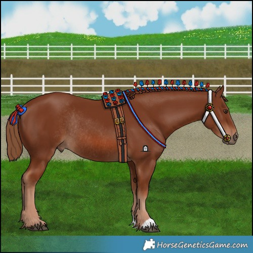 Horse Color:Chestnut Rabicano 