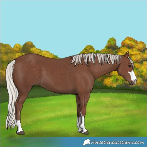 Horse Color:Silver Black