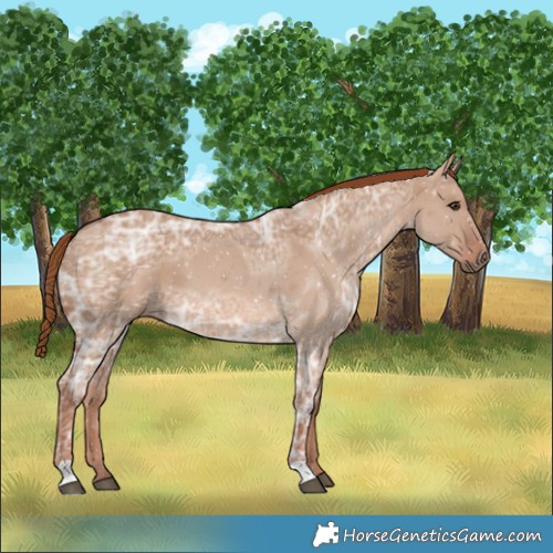 Horse Color:Red Dun Ice 
