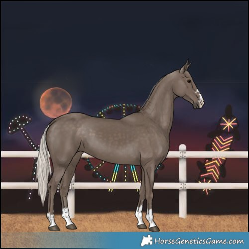 Horse Color:Silver Black 
