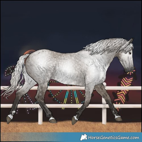 Horse Color:Gray Silver Grullo 